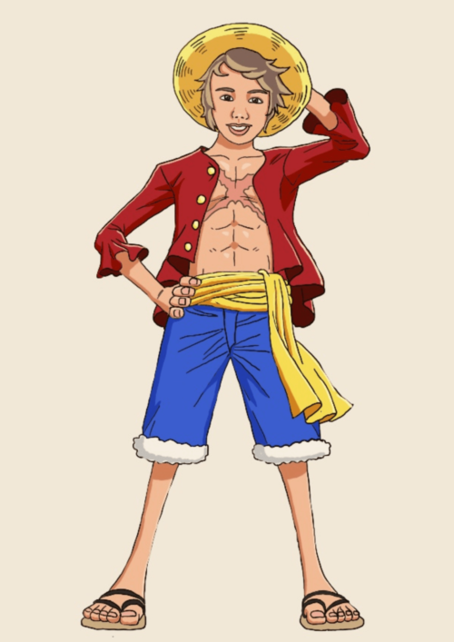 portrait personnalisé manga One Piece